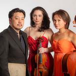 The Muse - Trio Anima Mundi