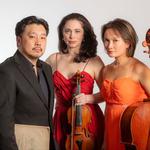 The Muse - Trio Anima Mundi