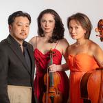 The Gypsy - Trio Anima Mundi