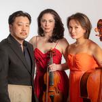 Beethoven Revealed - Geelong Symphony Orchestra