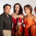 Beethoven Revealed - Geelong Symphony Orchestra