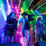 Disco/Funk Party  @ Zorvino Vineyards