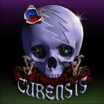 Cubensis - Grateful Dead Tribute and Shaky Feelin' return to The Canyon