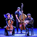 Festival Jazzellerault 2026 - Loco Cello feat. BIRELI LAGRENE