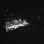 The Funky Ducks, Eastwood, and Dilly and the Doves