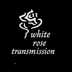 White Rose Transmission - an acoustic evening
