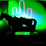 JULIES SHOOTING STAR