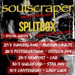 soulscraper & Splitbox & The Dodo Appreciation Society