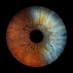 DNA: Dianto Reed Quintet DNA (Oostvoorne)