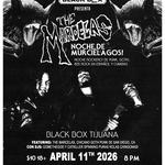  Noche de Murciélagos con The MARCELAS