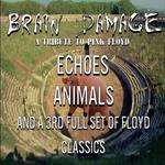 Brain Damage - A Tribute to Pink Floyd - Echoes, Animals, and More!