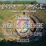 Brain Damage - A Tribute to Pink Floyd - Echoes, Wish You Were Here, and More!