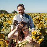 Taber Ranch Vineyard