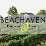 Isotti at the Vineyard Main Stage!