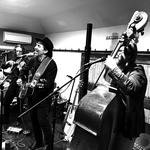 Roger Street Friedman Trio in Concert