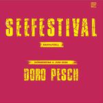 Seefestival Radolfzell 2026