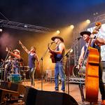 The Pigs Live in Concert at Camelot!