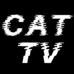 Cat TV