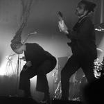 No terror in the bang