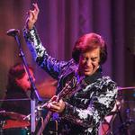 Neil Diamond Tribute - The King of Diamonds