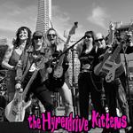 PRE-ANNOUNCE - Golden Gate Bandshell Free Concert Series