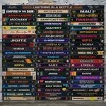 Lightning in a Bottle Festival 2026