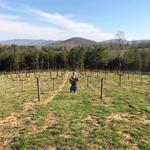 Mandi Strachota @ Ott Fams and Vineyard