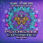 Psychedelic Experience