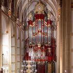 Maartenskerk Zaltbommel