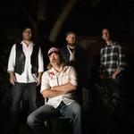 Tumbling Daisies at Animales BBQ