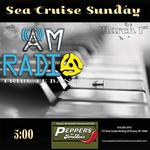 Relive the sound, style, and soul of the swinging sixties with The Ultimate 60s & 70s Experience right in KOP - AM Radio Tribute Band at Peppers! Sunday, from 5 to 8.