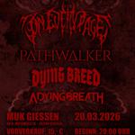 Meltdown Mayhem Vol.4