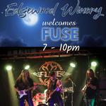 Alex Shumaker with FUSE at Edgewood Winery