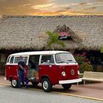 Joey Damiano at Paradise Grill