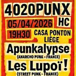 4020 PUNX HC