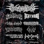 BADMAN FEST - NAMBOUR ALL AGES 