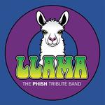 llama