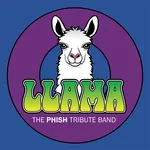 llama