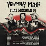 Tour w/ Yelawolf & Prof