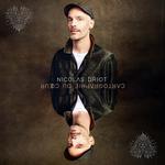Nicolas Driot @ Festival Hibernarock (AURILLAC / 15)