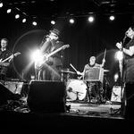 Fitzgerald's Sidebar Showcase