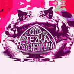 FUZZ SAGRADO (ex- Samsara Blues Experiment)