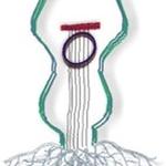 South of Polaris supporting Chris Ronald