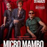 MICROMAMBO en SORIA