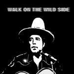 Brad Byrd Band - Shine - Lonesome Captain & His Hurt Feelings