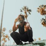 Reggae Rise Up Florida 2026