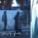 Mint Field live in Chicago