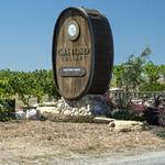 Castoro Cellars Lazy Locals Concert