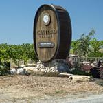 Castoro Cellars Lazy Locals Concert