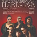 Flor de Lava en Barradas Auditori